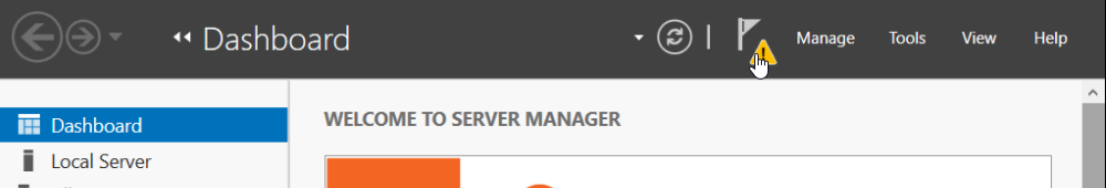Server Manager flag