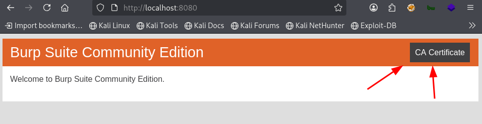 Burp Suite proxy certificate download